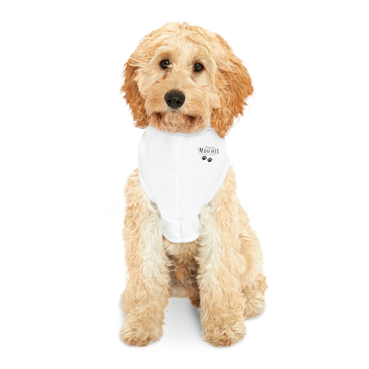 Mascota Tequila Hecho En Mexico Pup Hoodie