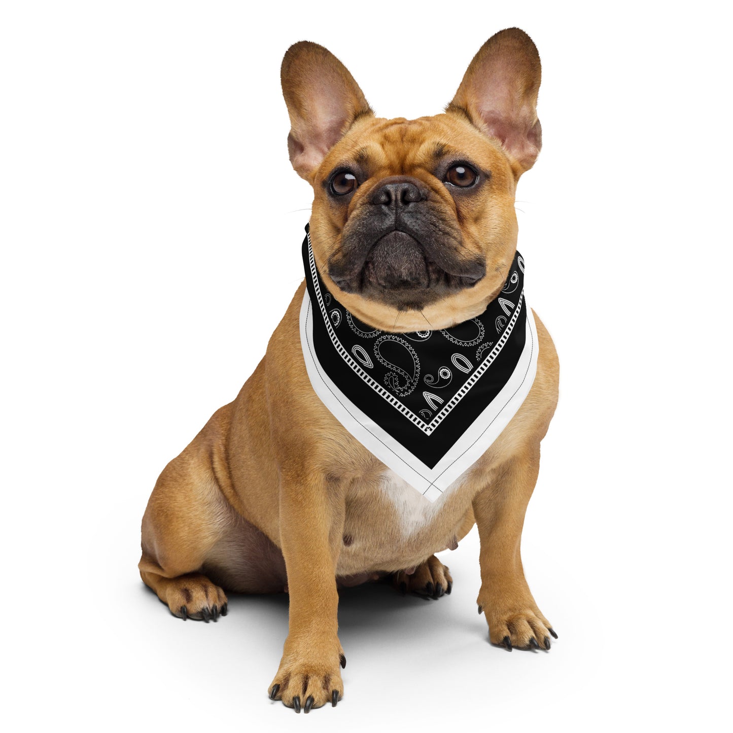 Mascota All-Over Print Bandana