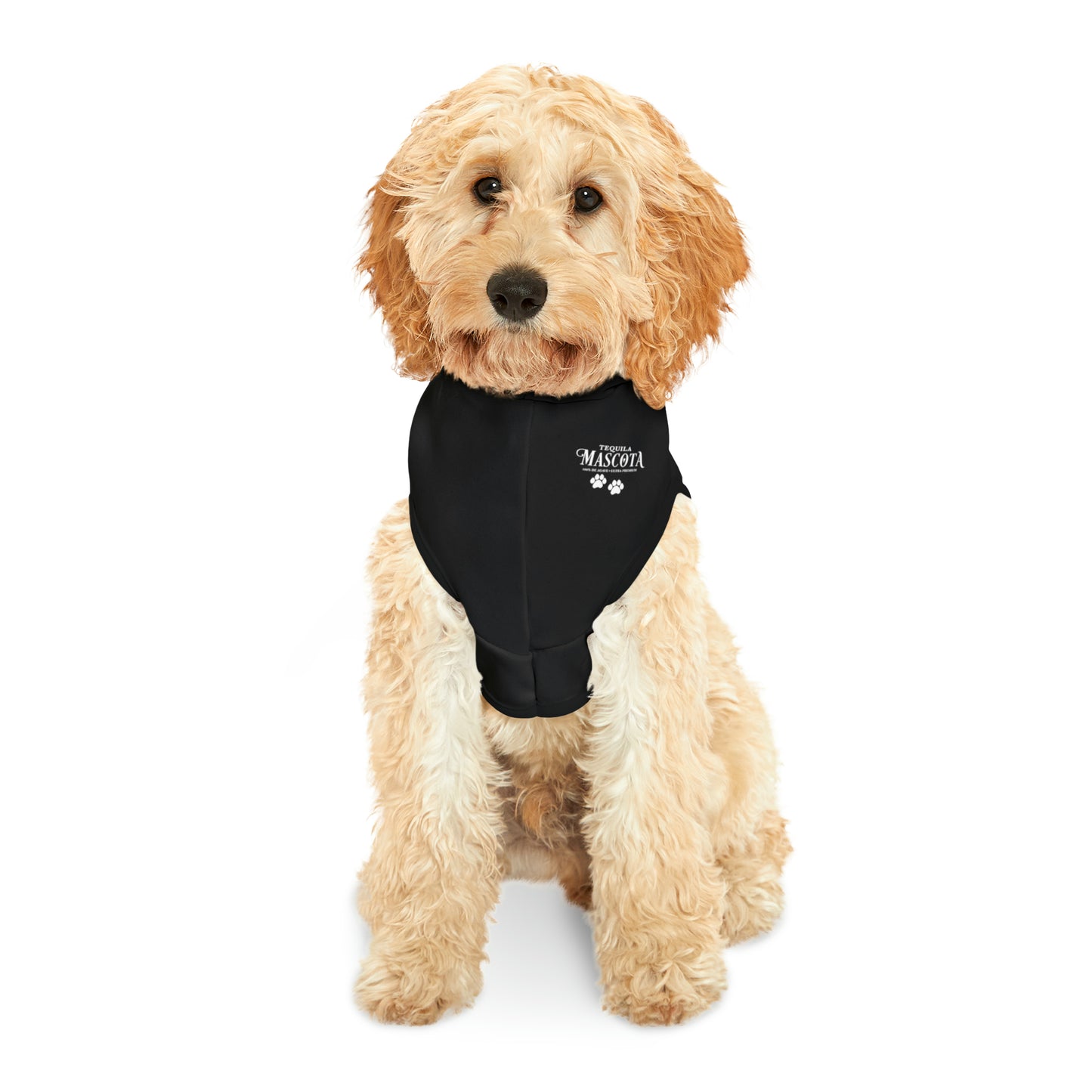 Mascota Añejo Pup Hoodie